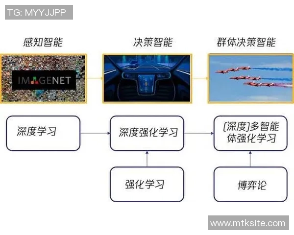 杭州排球队实力解析与未来发展展望的深度探讨